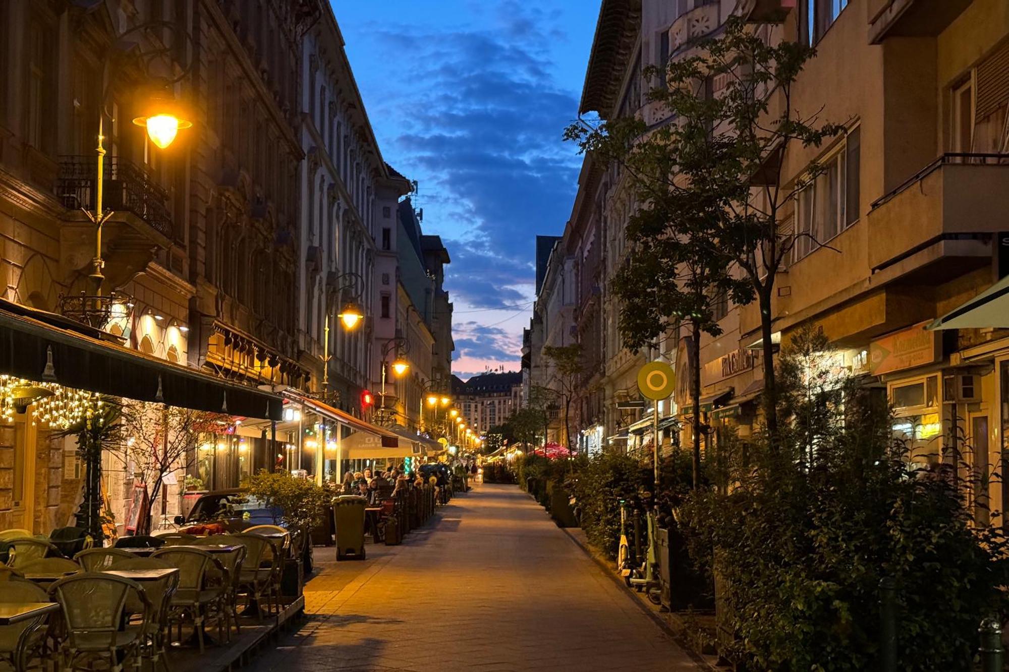 Jungle Aesthetics Downtown Apartman Aircon And Garage Parking Budapesta Exterior foto