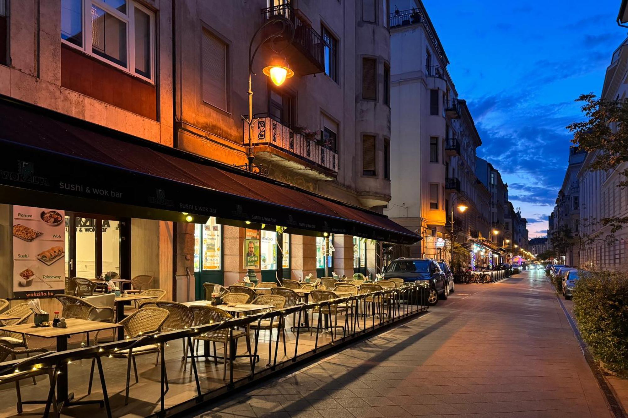 Jungle Aesthetics Downtown Apartman Aircon And Garage Parking Budapesta Exterior foto