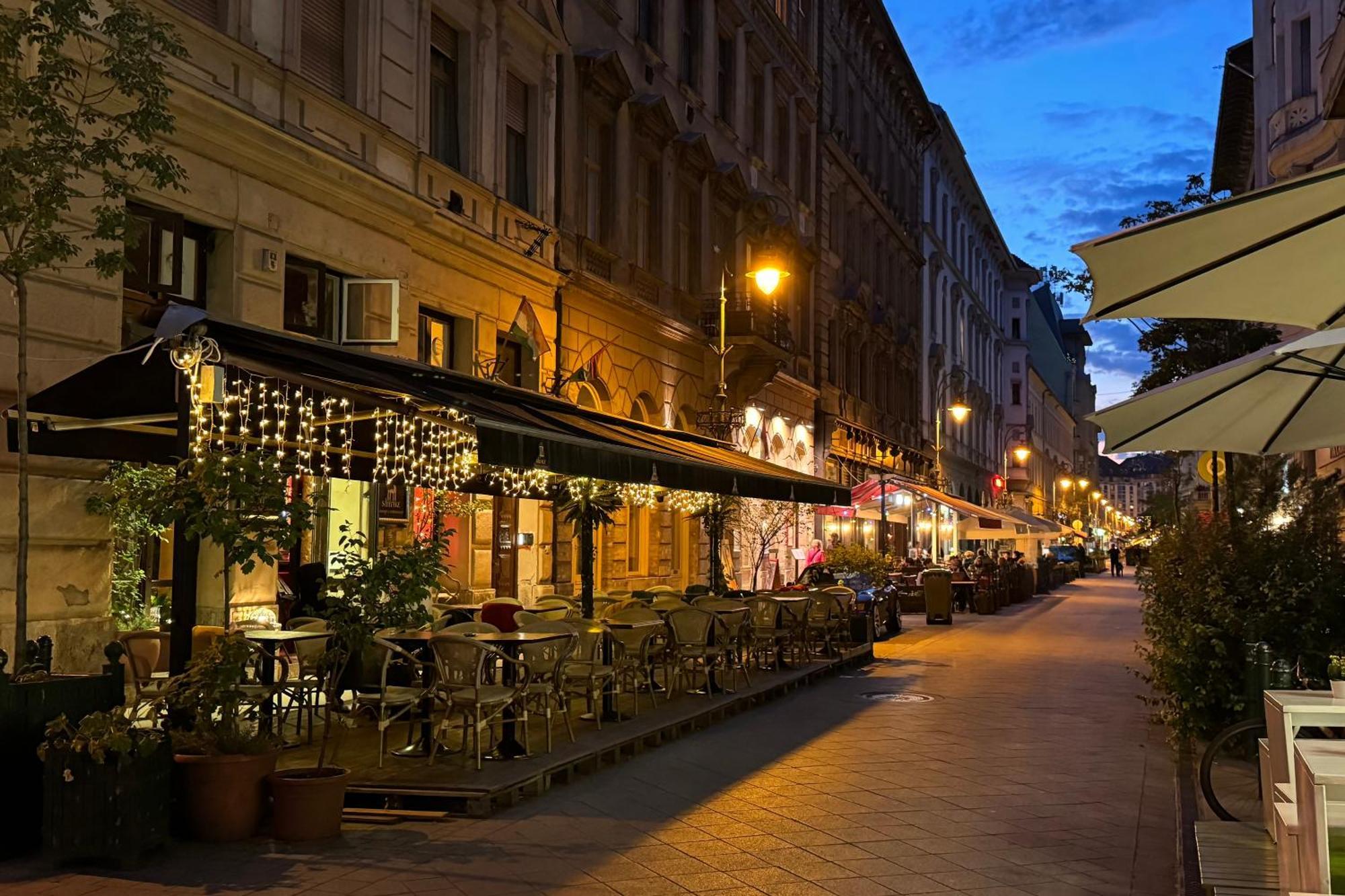 Jungle Aesthetics Downtown Apartman Aircon And Garage Parking Budapesta Exterior foto